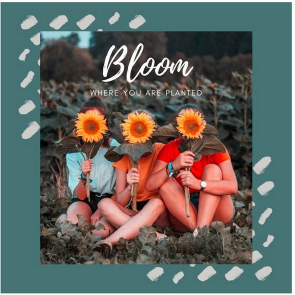 🌻 - Picture 2 of 2